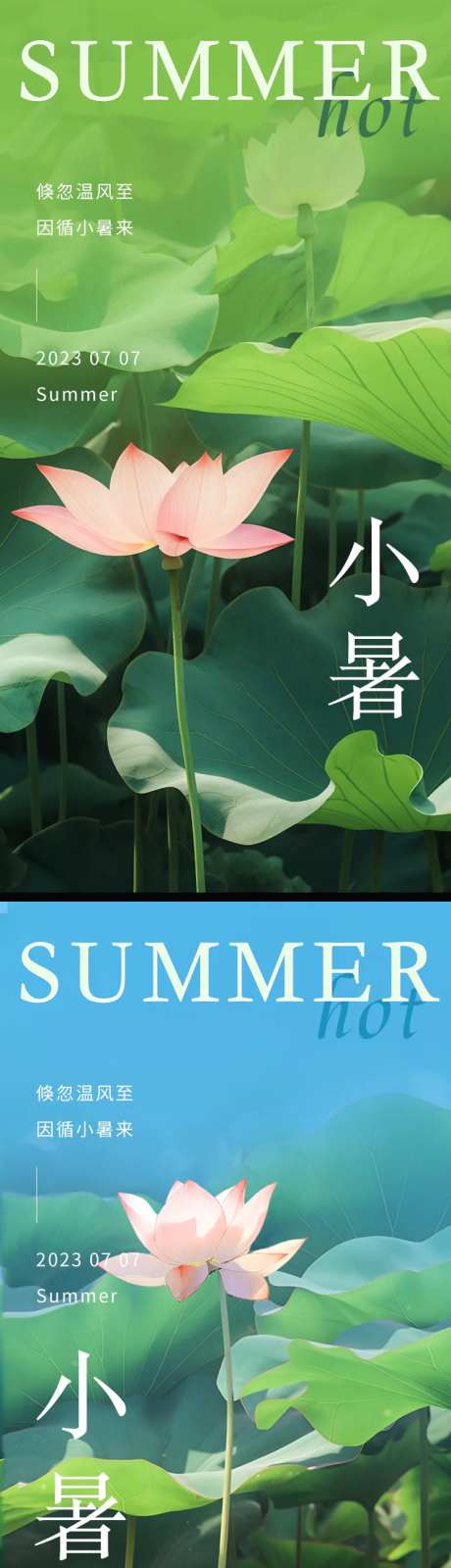小暑荷花节气海报-采灵感-https://www.cailinggan.com/