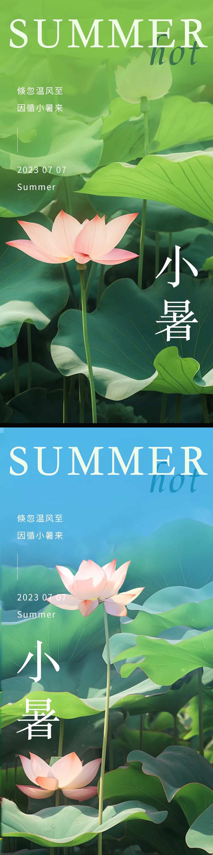 小暑荷花节气海报-采灵感-cailinggan.com