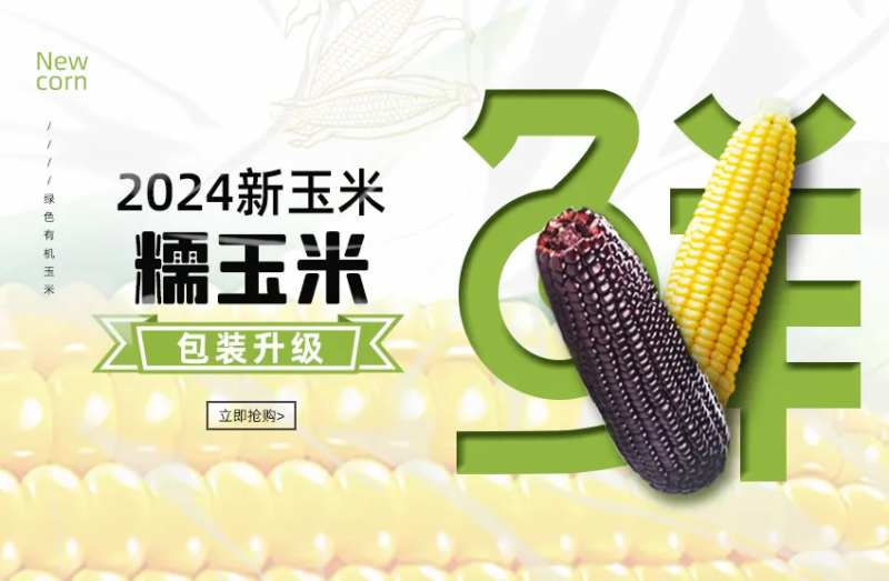 清新玉米banner-采灵感-cailinggan.com