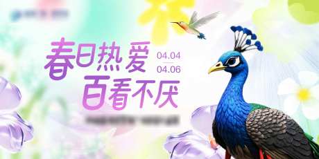 百日庆主KV-采灵感-https://www.cailinggan.com/
