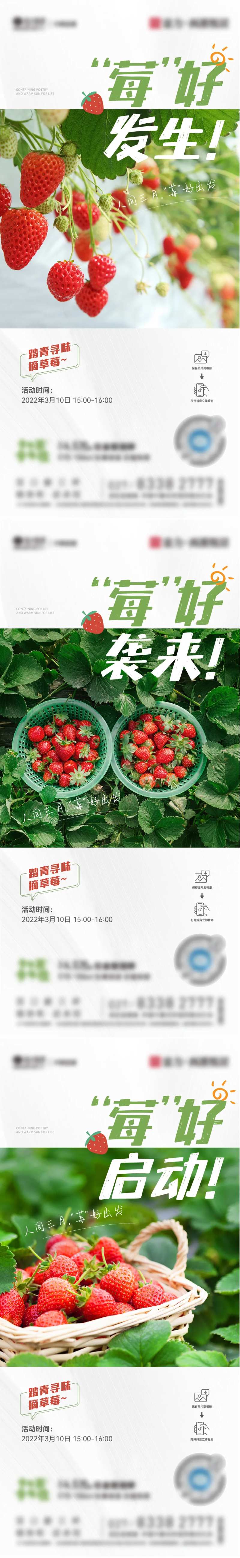 摘草莓活动微信稿-采灵感-cailinggan.com