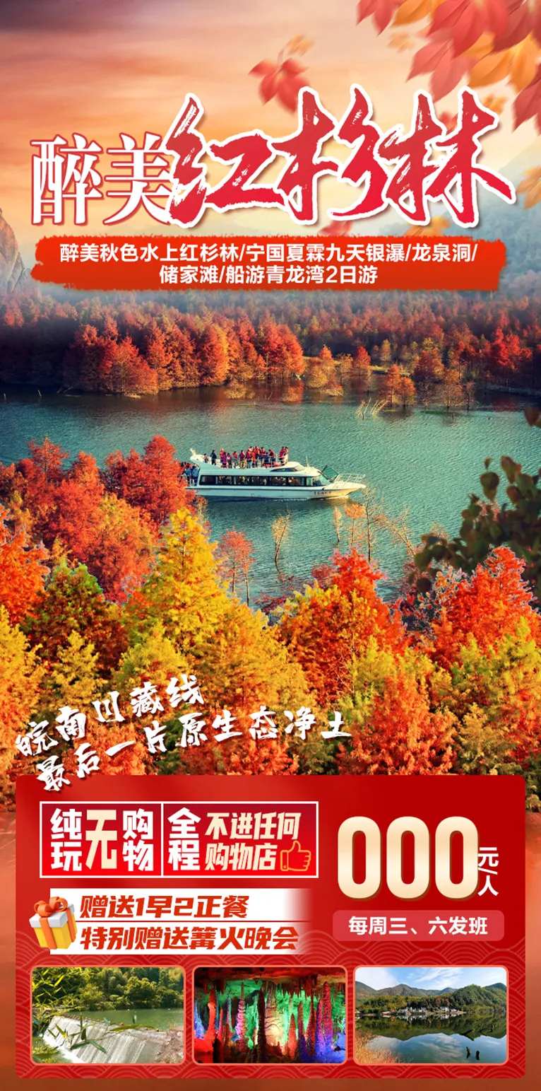 最美红杉林-采灵感-cailinggan.com
