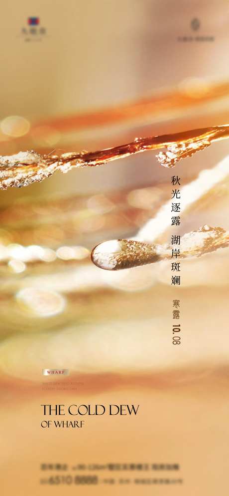 地产寒露节气海报-采灵感-https://www.cailinggan.com/