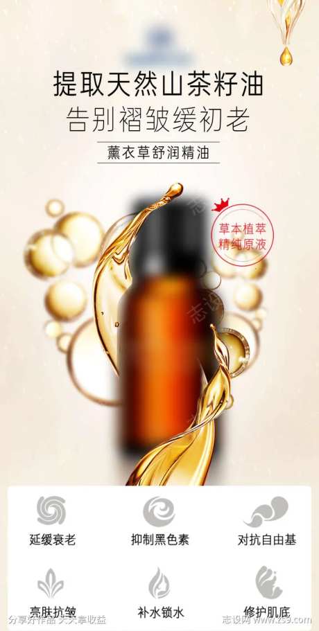 薰衣草精油                                                                                                                                                                                                   -采灵感-https://www.cailinggan.com/