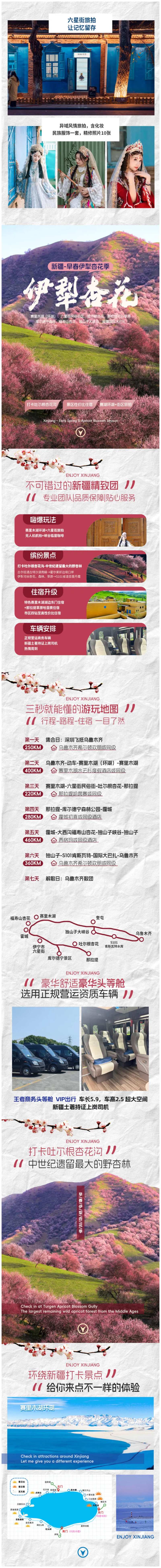 新疆春季杏花旅游详情页-采灵感-cailinggan.com