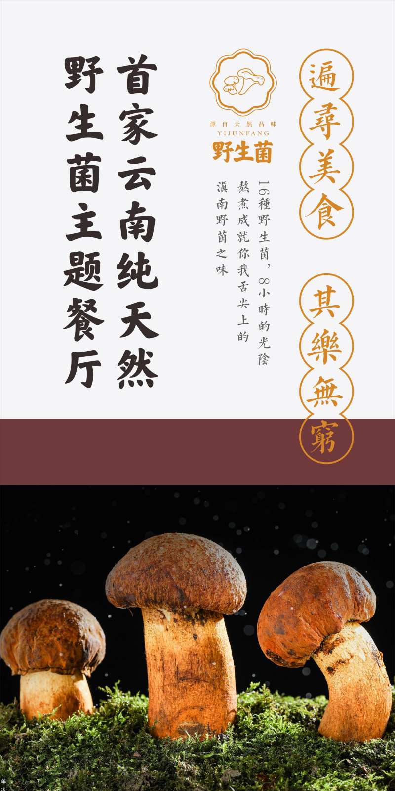 野生菌主题餐厅宣传海报-采灵感-cailinggan.com