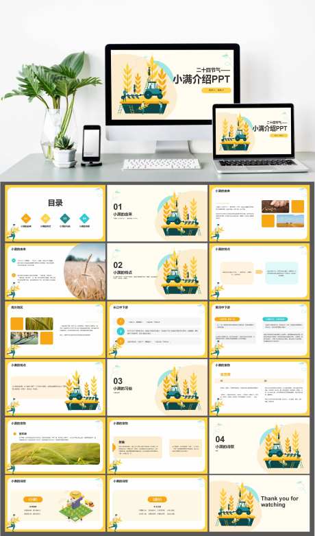 二十四节气小满介绍PPT-采灵感-https://www.cailinggan.com/