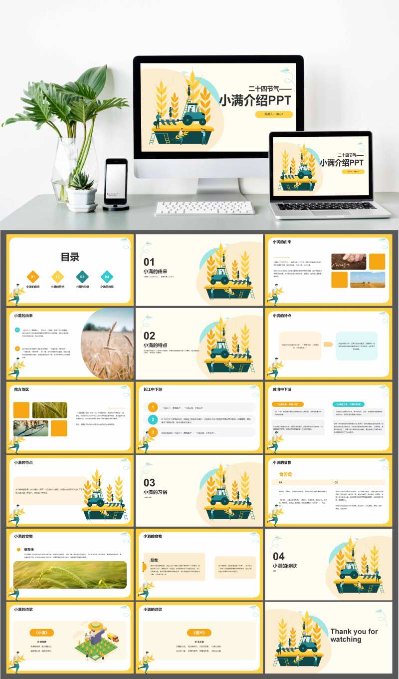 二十四节气小满介绍PPT-采灵感-cailinggan.com