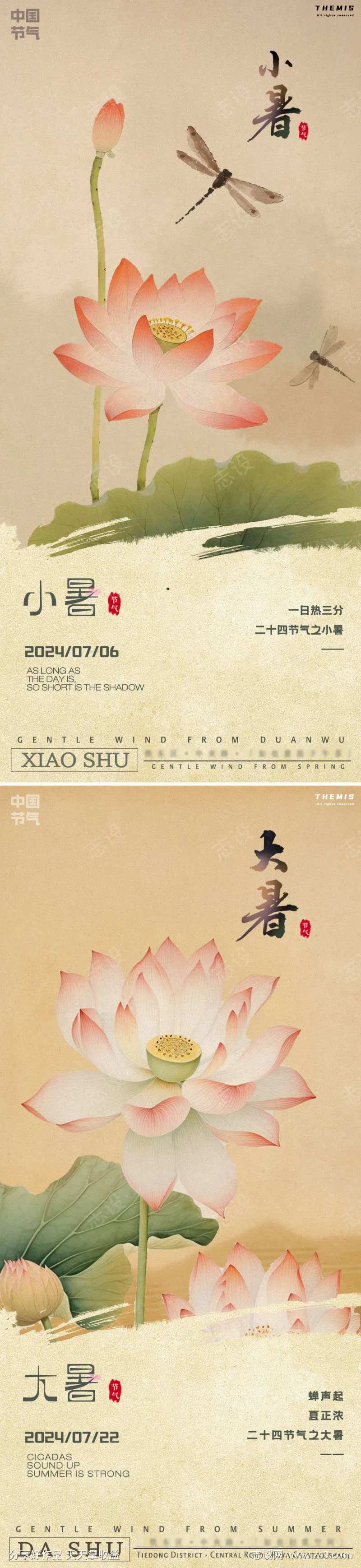 大暑小暑现代白描荷花图-采灵感-cailinggan.com