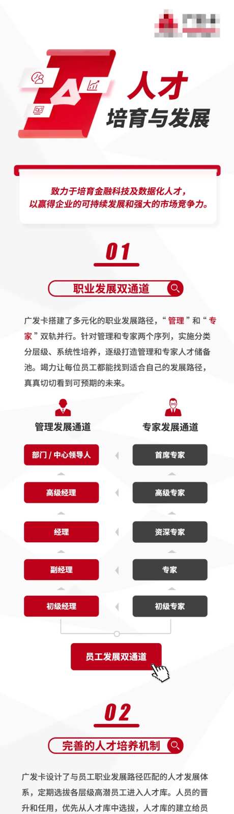 人才培育计划发展长图海报-采灵感-https://www.cailinggan.com/