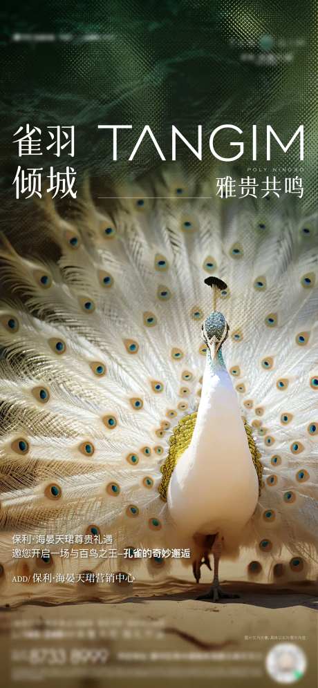 孔雀海报-采灵感-https://www.cailinggan.com/