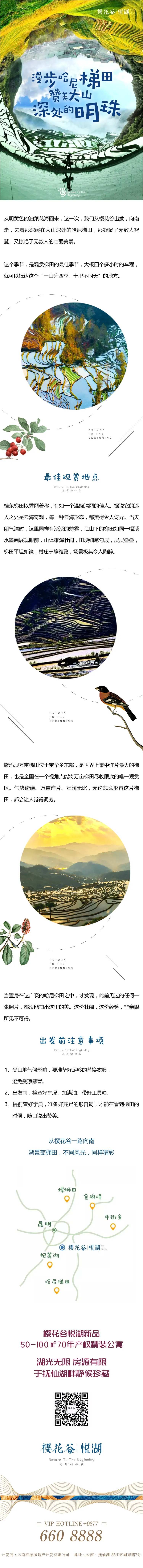 梯田游玩长图-采灵感-cailinggan.com