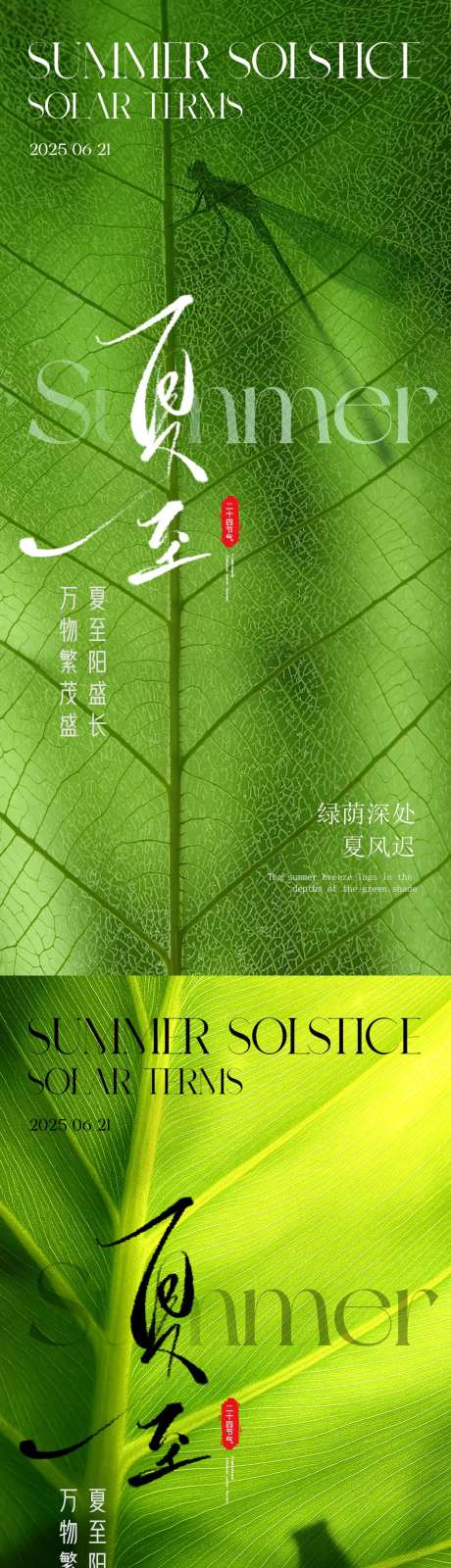 夏日夏至绿叶主题创意设计-采灵感-https://www.cailinggan.com/