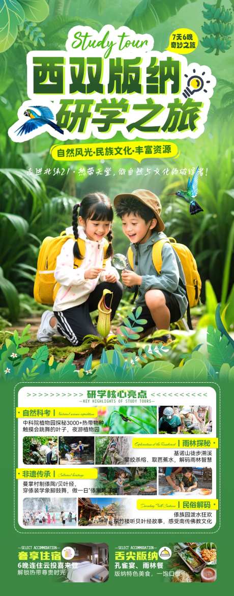 西双版纳研学之旅7日游海报-采灵感-https://www.cailinggan.com/