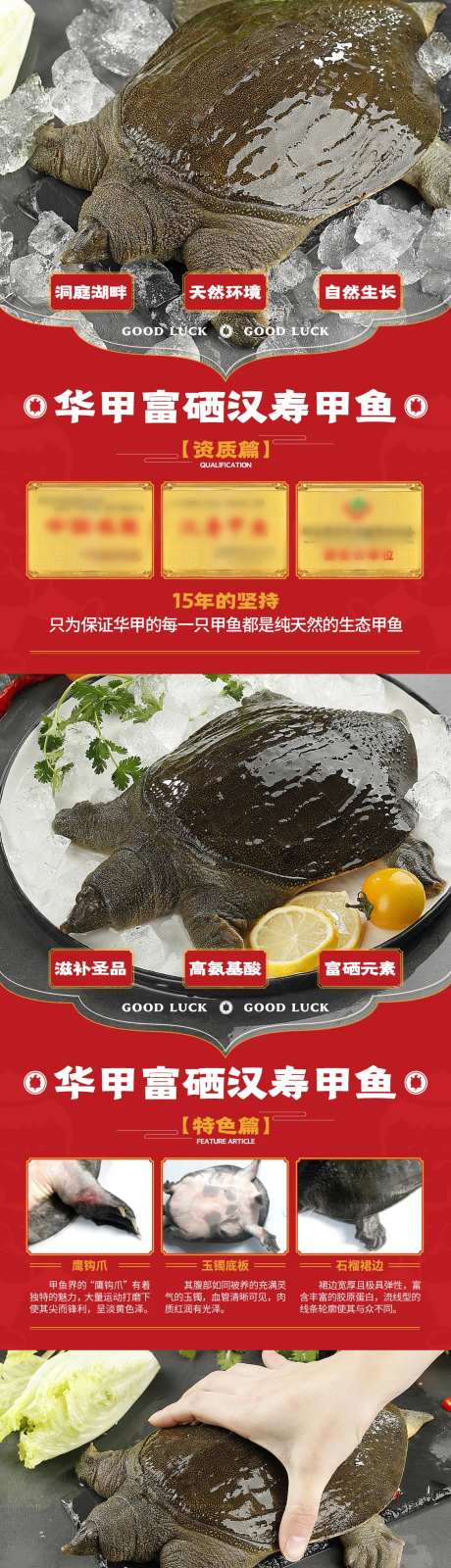 甲鱼系列产品展架-采灵感-https://www.cailinggan.com/