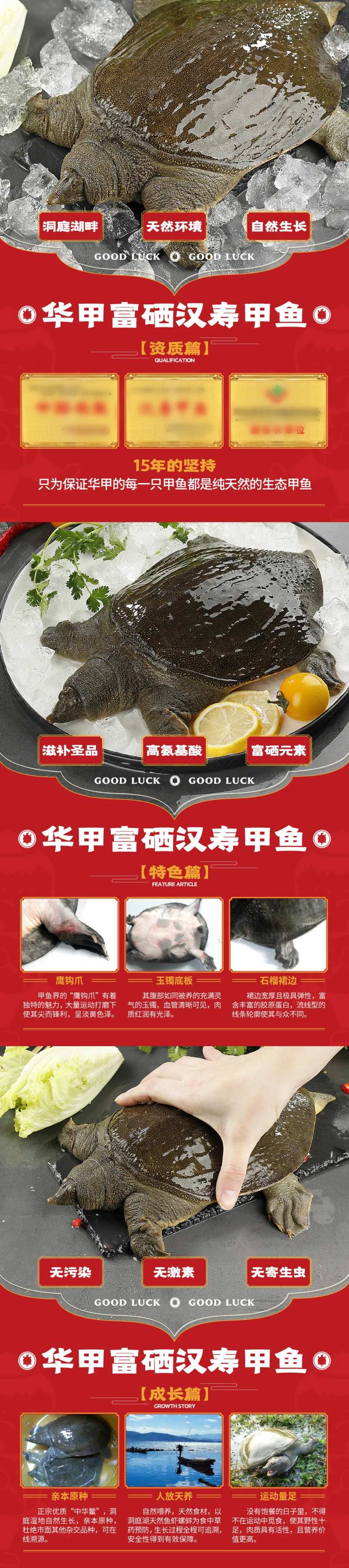甲鱼系列产品展架-采灵感-cailinggan.com