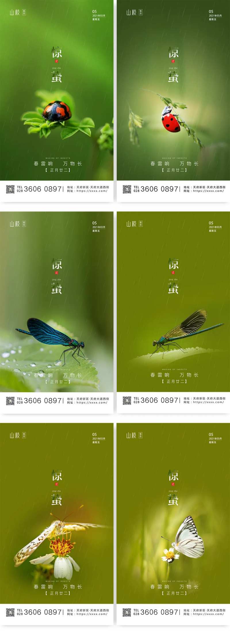 二十四节气惊蛰系列海报-采灵感-cailinggan.com