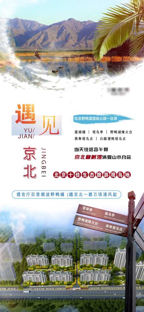 野鸭湖一日游海报-采灵感-https://www.cailinggan.com/