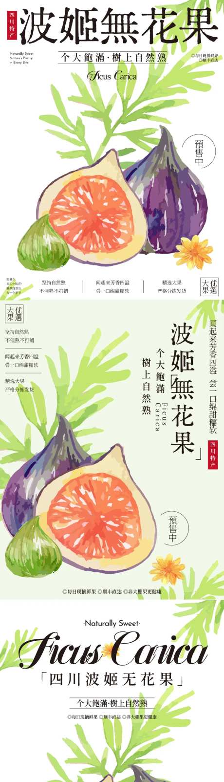 波姬紫皮无花果插画海报-采灵感-https://www.cailinggan.com/
