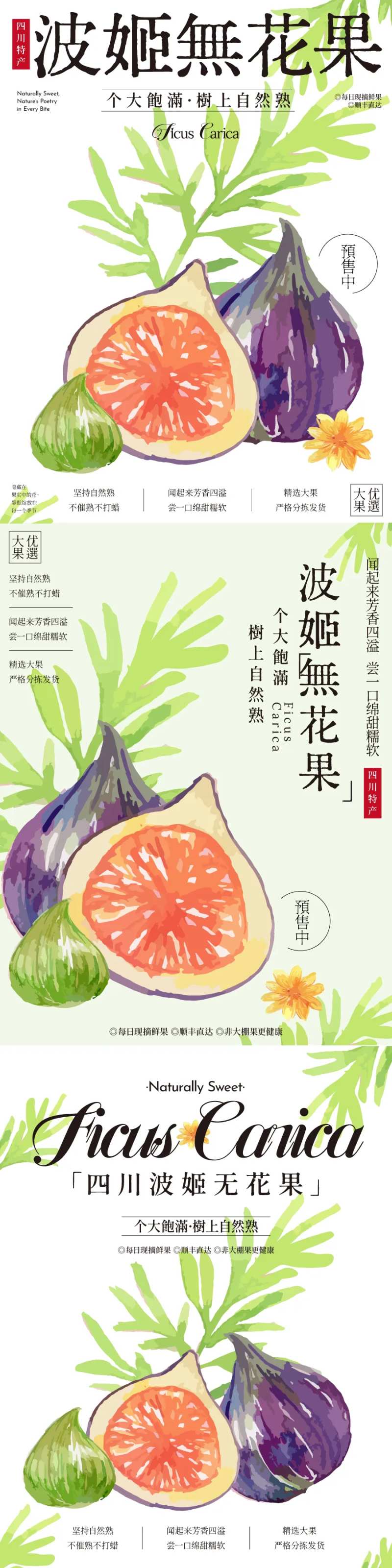 波姬紫皮无花果插画海报-采灵感-cailinggan.com