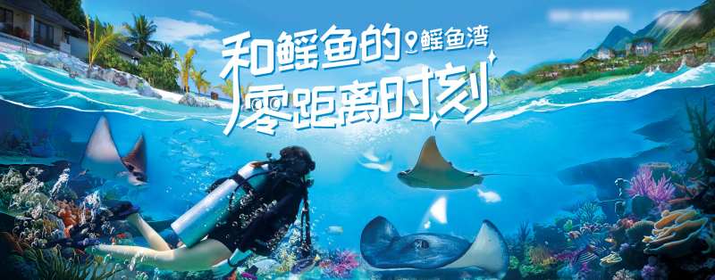 海底世界鳐鱼湾活动背景板·-采灵感-cailinggan.com