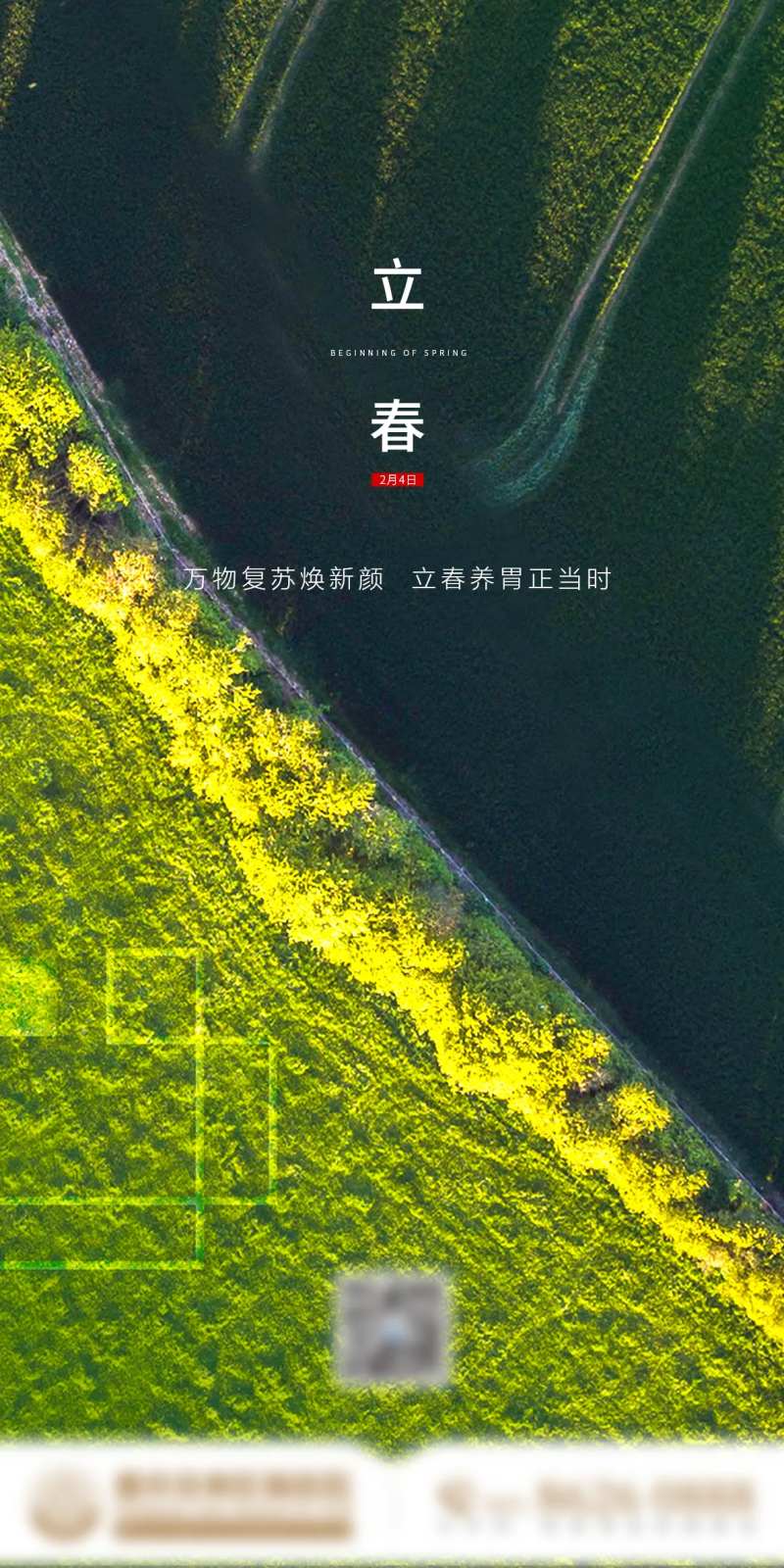 立春节气海报-采灵感-cailinggan.com