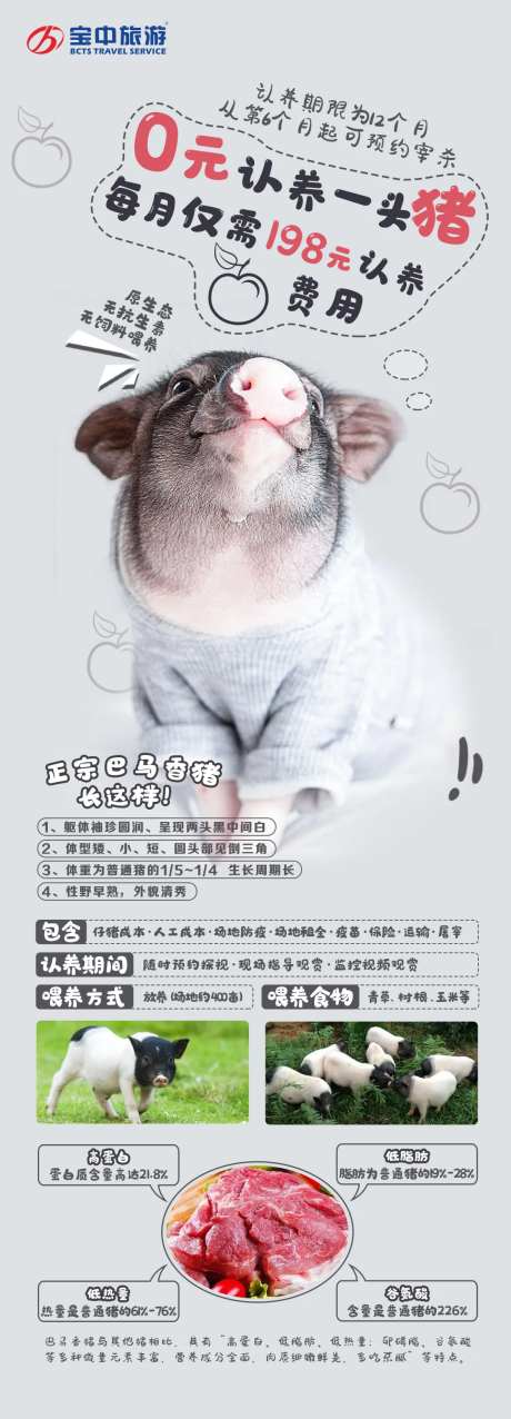 认养香猪活动稿-采灵感-https://www.cailinggan.com/