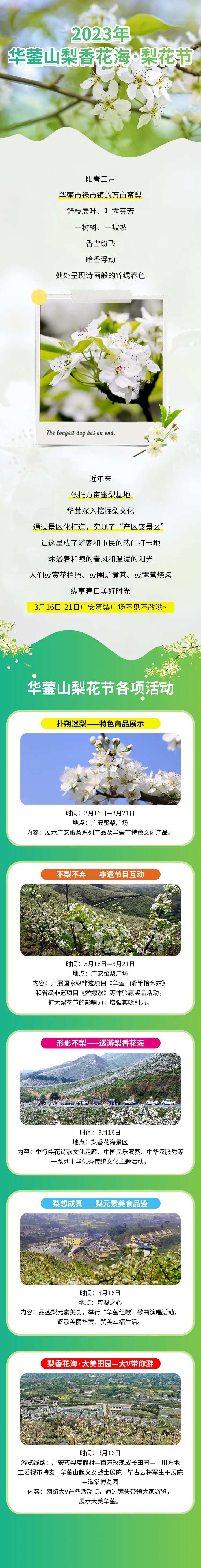 梨花节旅游宣传长图海报-采灵感-cailinggan.com