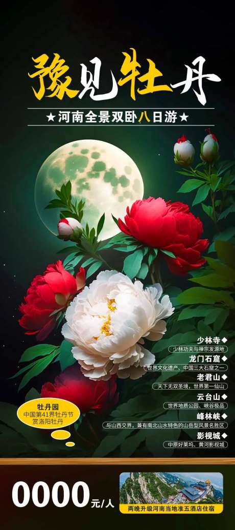牡丹花海报-采灵感-https://www.cailinggan.com/