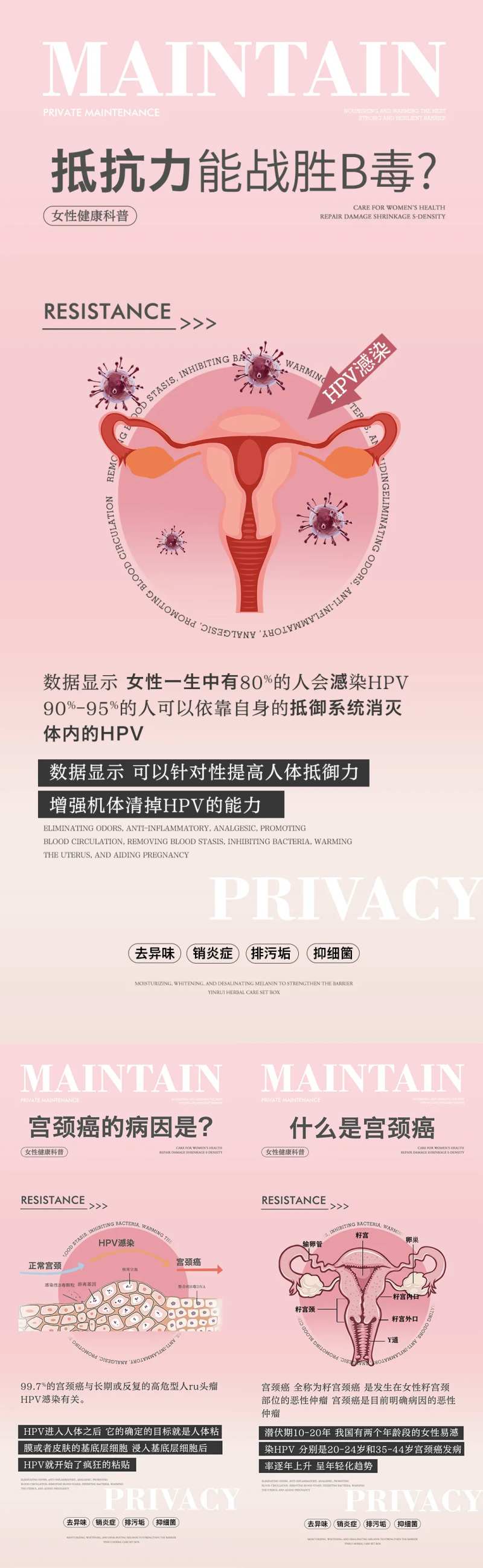 私密养护系列海报-采灵感-cailinggan.com