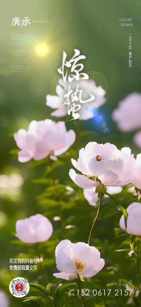 惊蛰花卉海报-采灵感-https://www.cailinggan.com/