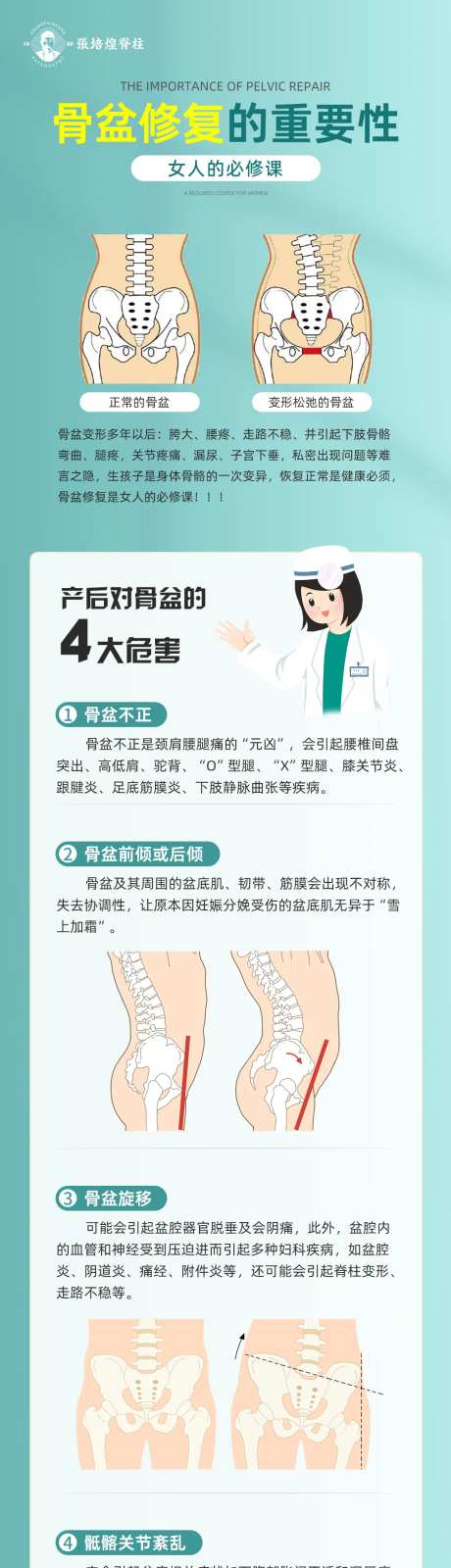 骨盆修复长图-采灵感-https://www.cailinggan.com/