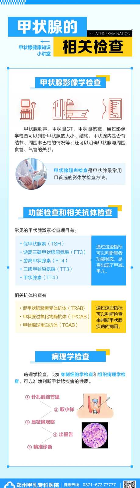 甲状腺的相关检查长图-采灵感-https://www.cailinggan.com/