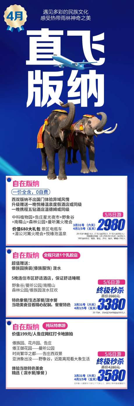 版纳产品合集长图海报-采灵感-https://www.cailinggan.com/