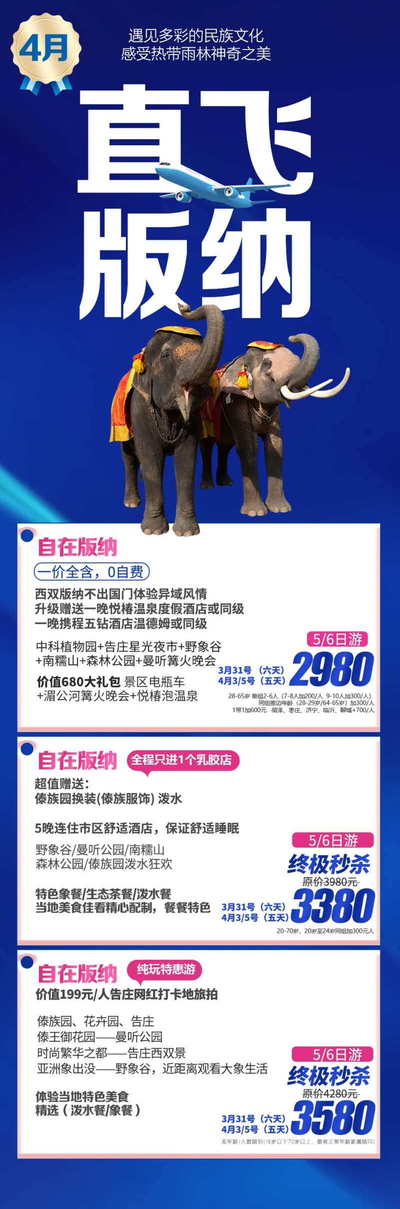 版纳产品合集长图海报-采灵感-cailinggan.com