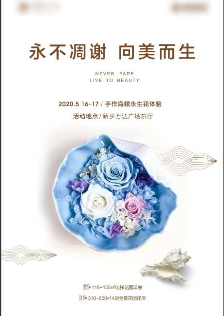 贝壳 永生花-采灵感-https://www.cailinggan.com/