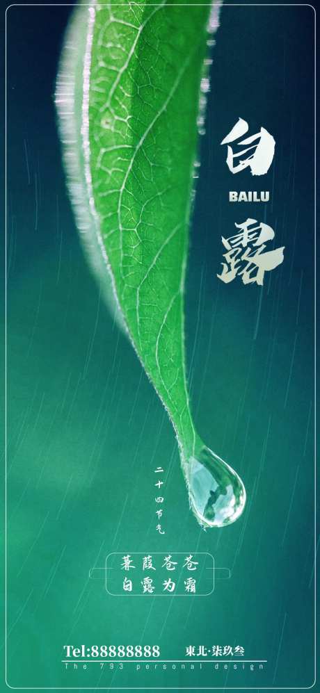 白露节气海报-采灵感-cailinggan.com