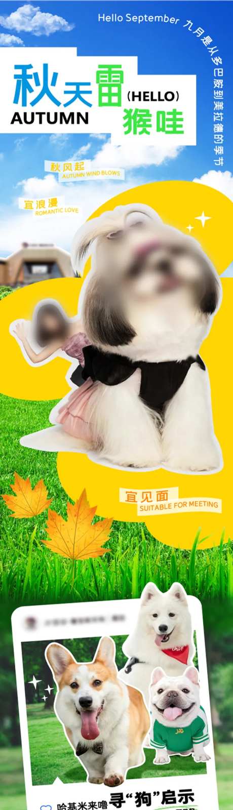 秋天你好哇长海报图-采灵感-https://www.cailinggan.com/