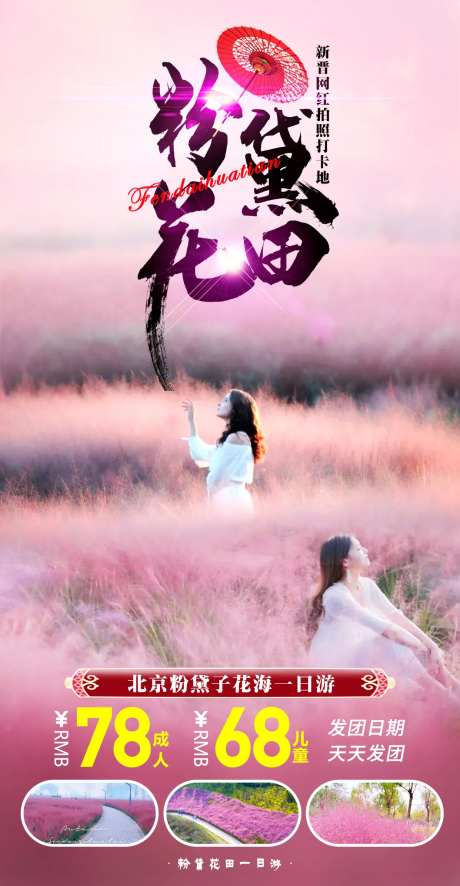 粉黛花田-采灵感-https://www.cailinggan.com/