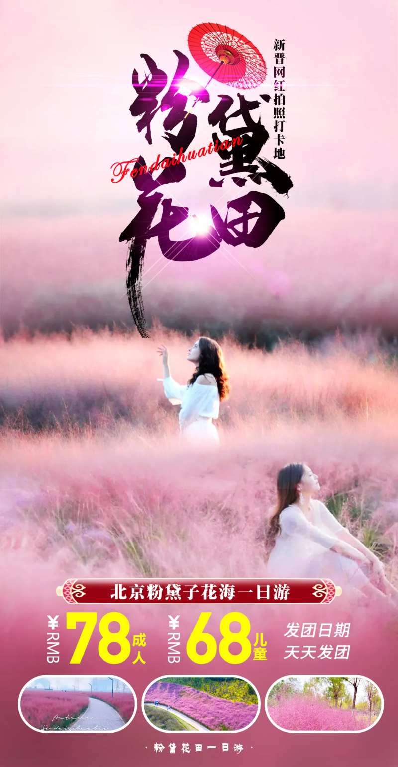 粉黛花田-采灵感-cailinggan.com