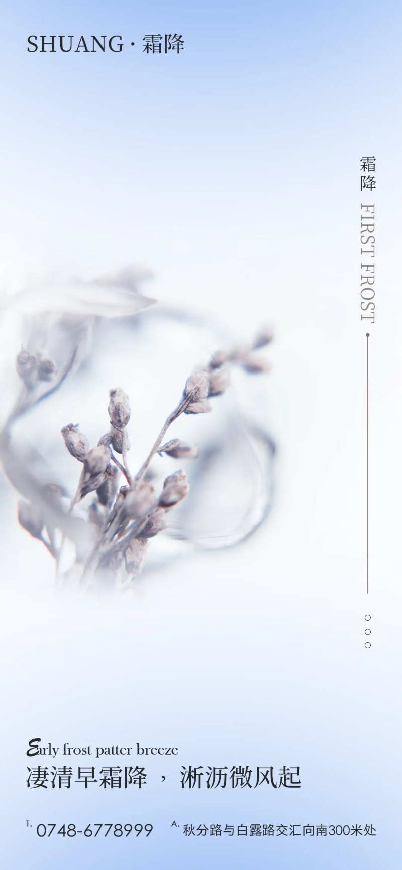 地产霜降节气海报-采灵感-cailinggan.com