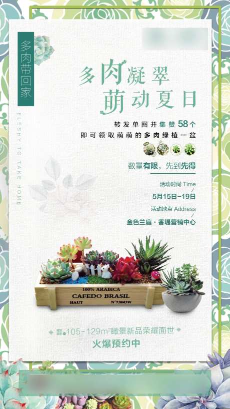 多肉活动微信-采灵感-https://www.cailinggan.com/