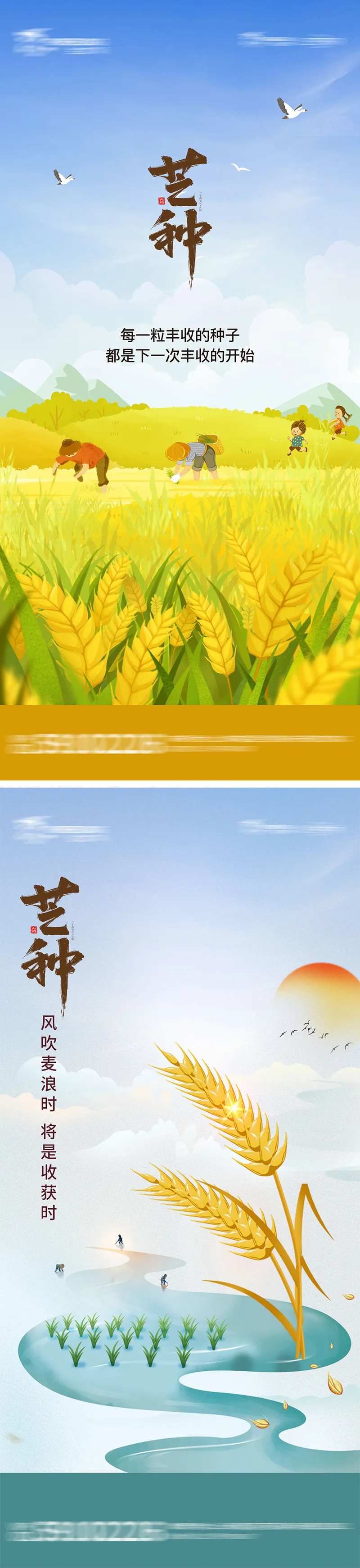 芒种节气海报-采灵感-cailinggan.com