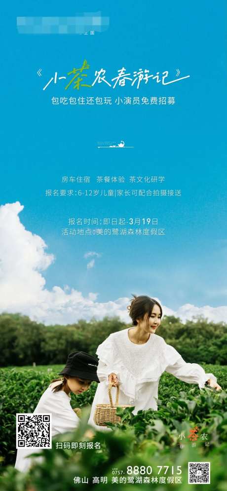 采茶节-采灵感-https://www.cailinggan.com/