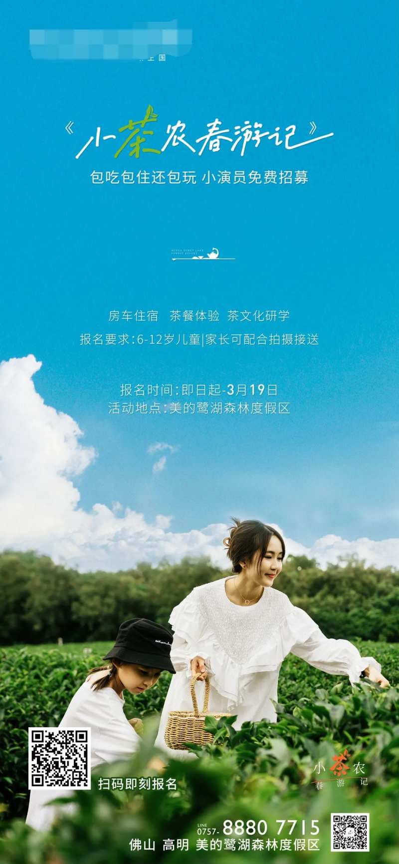 采茶节-采灵感-cailinggan.com