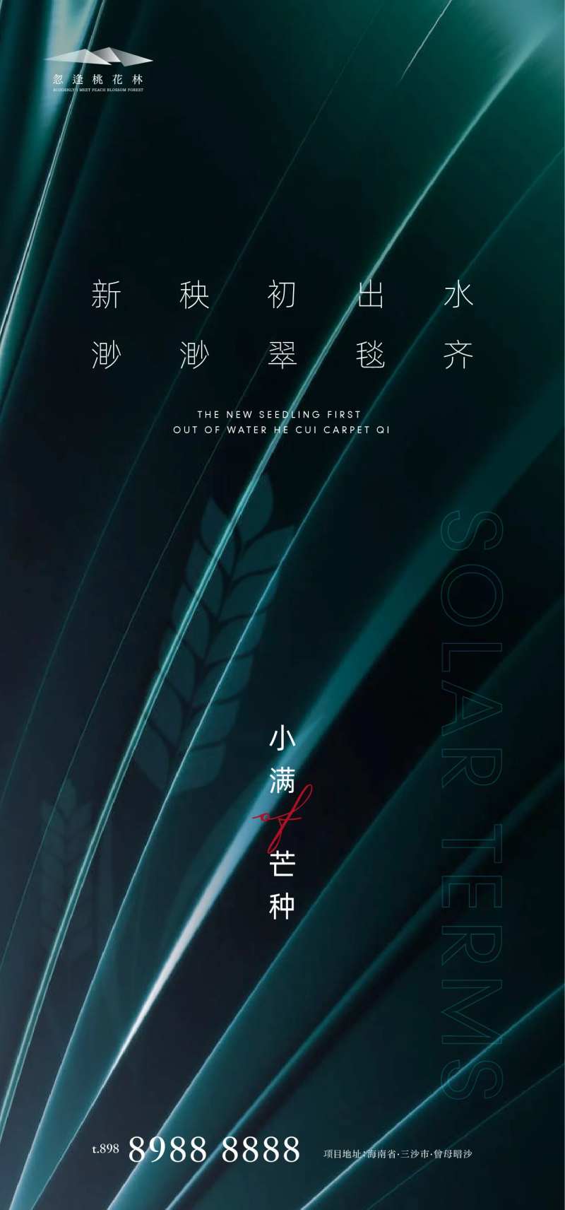 小满芒种地产海报-采灵感-cailinggan.com