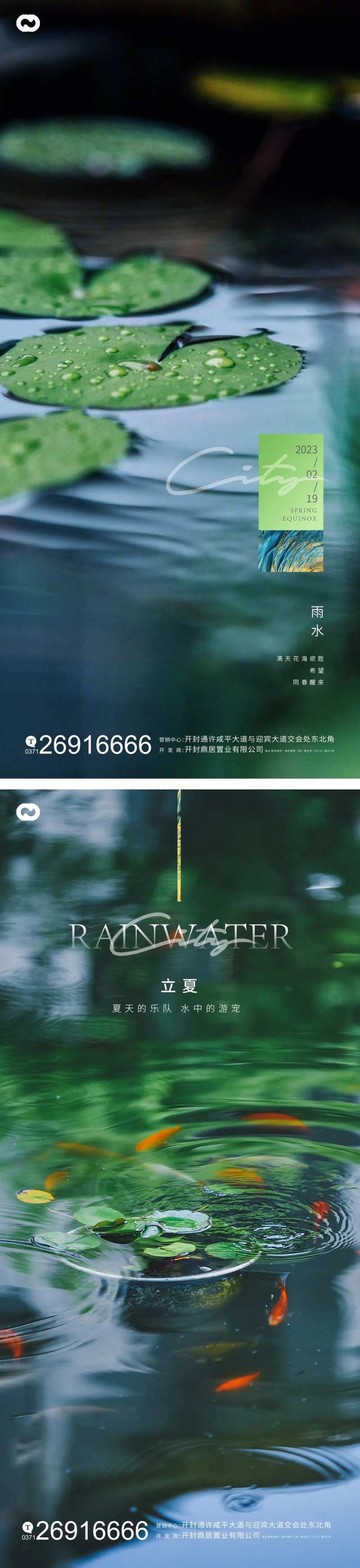 雨水白露荷叶节气海报-采灵感-cailinggan.com