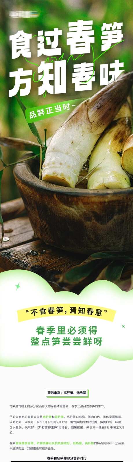 生鲜春笋长图-采灵感-https://www.cailinggan.com/
