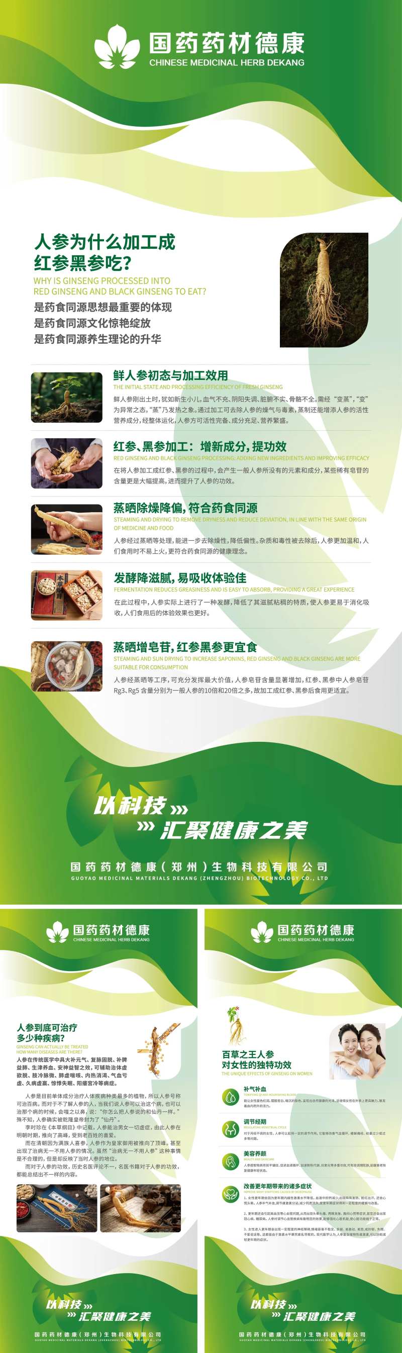 人参养生文化展架-采灵感-cailinggan.com