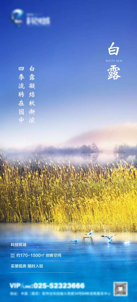 地产白露节气移动端海报-采灵感-https://www.cailinggan.com/